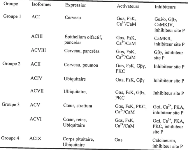 Tableau 4 : Expression et régulation de chacun des isoformes de la famille des