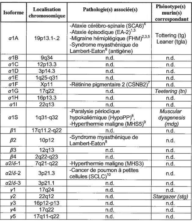 Tableau III Localisation chromosomique, chez l’homme, des gènes codants pour les