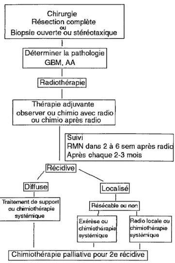 Figure 1.1 Algorithme du traitement des gliomes malins : glioblastome et astrocytome anaplasique (Prados et Levin, 2000)