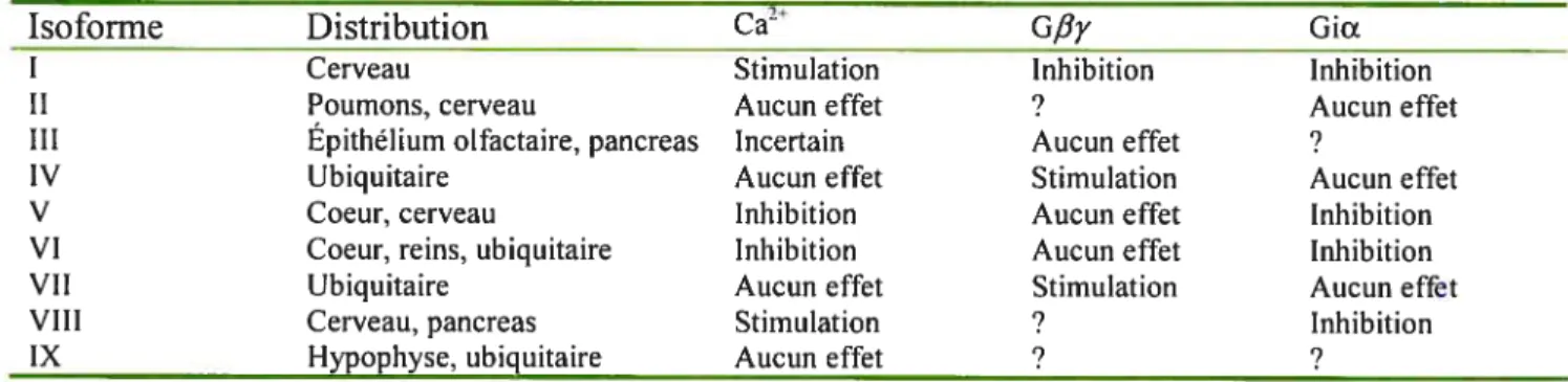 Tableau I. Distribution et régulation des différentes isoformes de l’adénylate cyclase