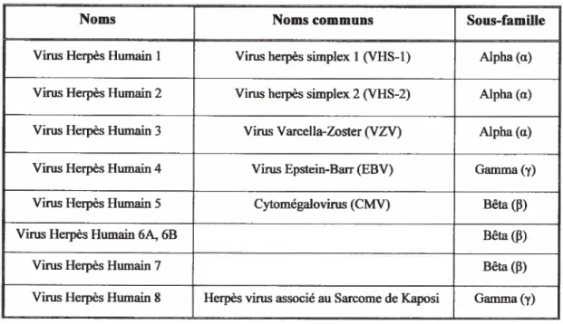 Tableau f : Neufs Virus Herpès Humains de la famille des Herpesviridaes avec leur nom commun et leur sous-famille respective.