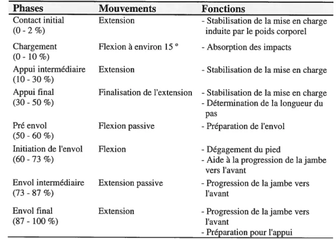 Tableau 2 Description des mouvements et des fonctions du genou relatifs à chacune des phases du cycle de marche [16].
