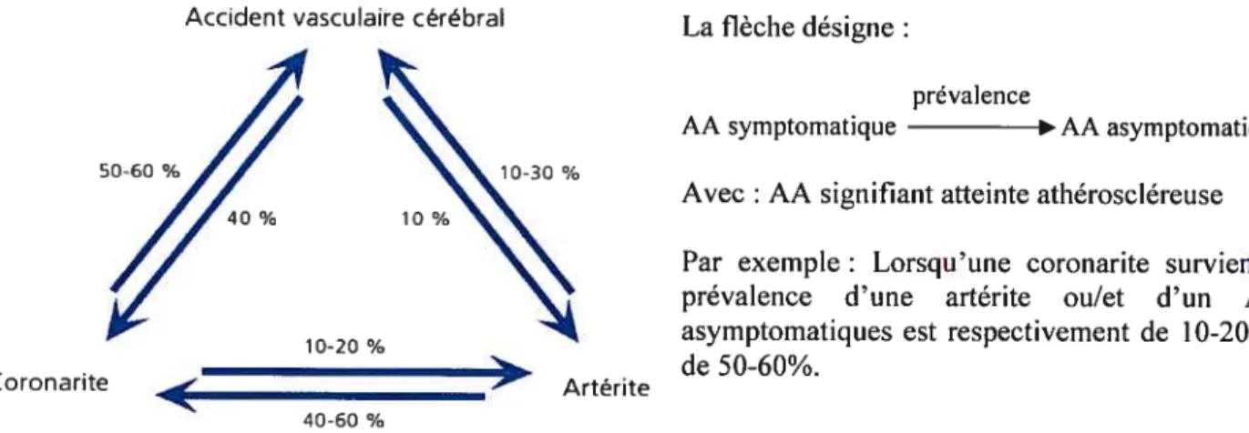 Figure 1.7- Prévalence d’une atteinte athéroscléreuse asymptomatique en présence d’une localisation symptomatique.