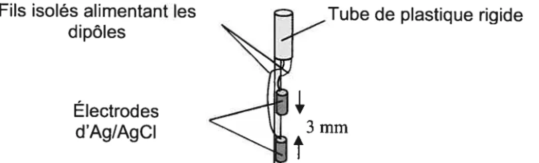 Fig. 3. 3 Dipôle servant de source de courant, formé de deux pôles (électrodes d’Ag/AgCI)