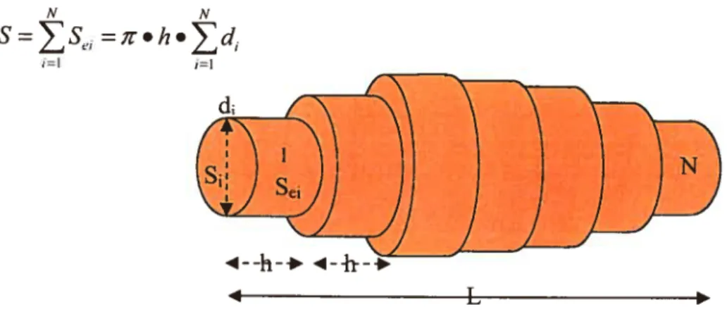 Fig. 3.5: Approximation cylindrique de la géométrie du muscle et paramètres de calcul biométrique.