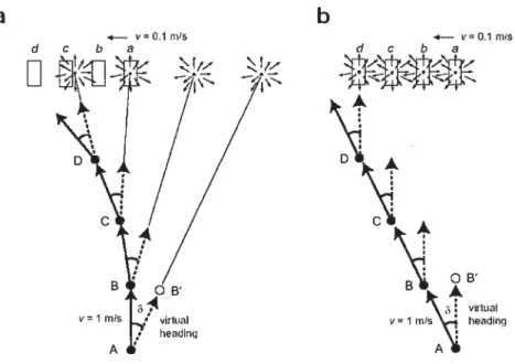 Figure 4: Trajectoires prévues par l’hypothèse égocentrique (a) et l’hypothèse du flot optique (b)