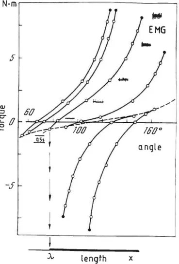 Figure 1.2.1 — Caractéristique invariante et activité musculaire (EMG) des fléchisseurs (courbes du