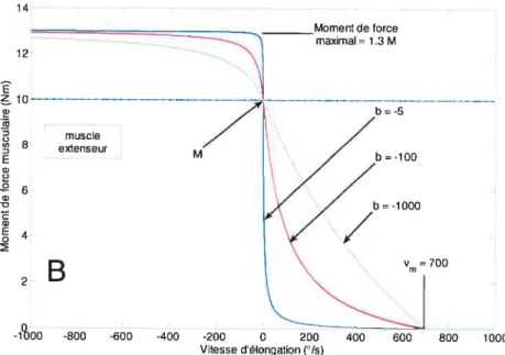 Figure 2.2.2 — Formes sigmoïdales de la relation force-vitesse utilisée dans les simulations pour