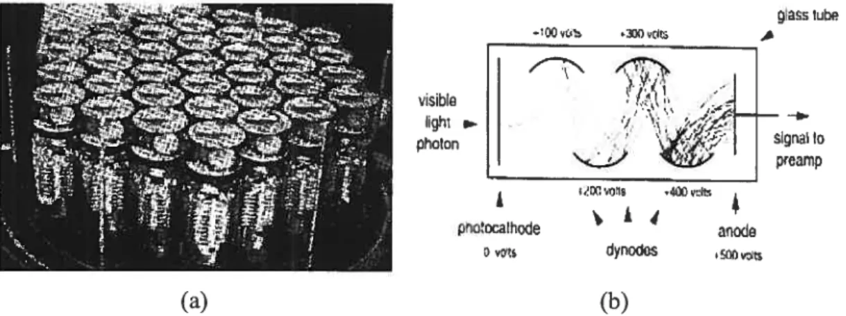 Figure 3: (a) PMT array. (b) Ihe functional diagram of OIIC PMT