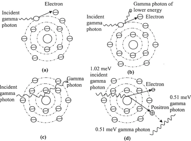 Figure 7: Four effects of attenuation. ta) Photoelectric effect. (b) Compton scattering