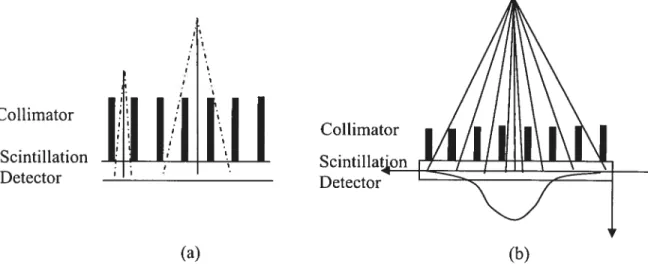 Figure 9: (a) Lower sensitivity and higher resolution collimator. (b) Higher sensitivity and lower resolution collimator.