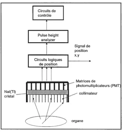 FIG. 2.2 - Caméra gamma moderne.