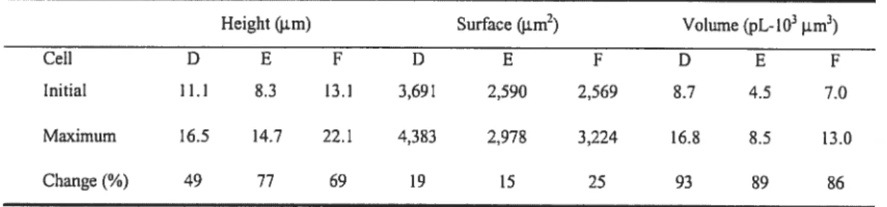 Table 2. Maximal changes ofa single A549 cell’s height, surface and volume resuiting from 50% hypotonic shock and evaluated by the DISUR method