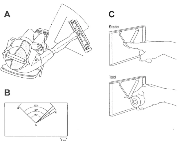 fig. lA. Start position for the reference conditions of the haptic discrimination task