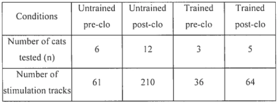 Table 1- Number ofcats and stimulation tracks per condition