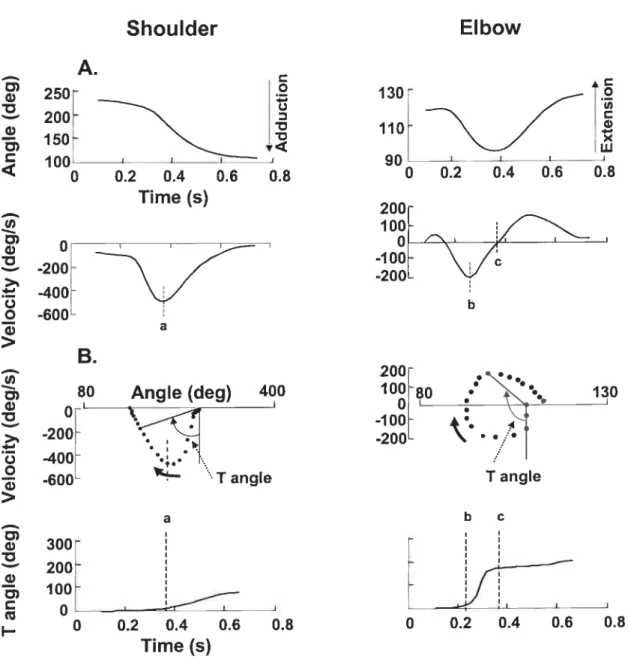 Fig. 5.3. Shoulder and elbow angles and velocities (A) and joint T angles (B) in one healthy participant