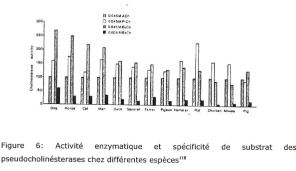 Figure 6: Activité enzymatique et spécificité de substrat des pseudocholinésterases chez différentes espècest8