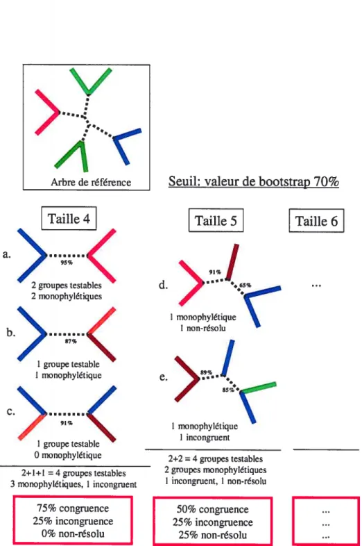 figure 2.4 Comptabilisation des HGT. Pour toutes les familles d’une taille donnée,