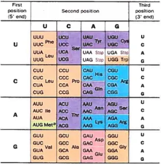 Tableau I Code génétique (Voet et Voet, 2002)