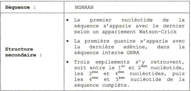 Table 1: Énumération des propriétés de structure primaire et secondaire du motif tetraloop GNRA