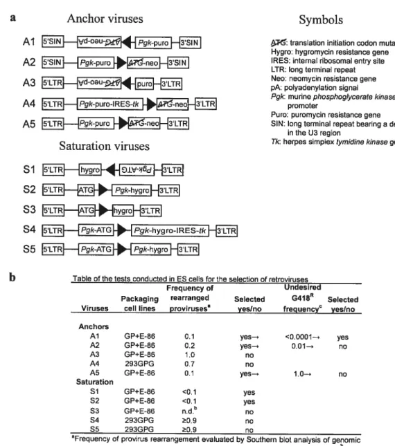 Figure 2-3 Generation of retroviral vectors.