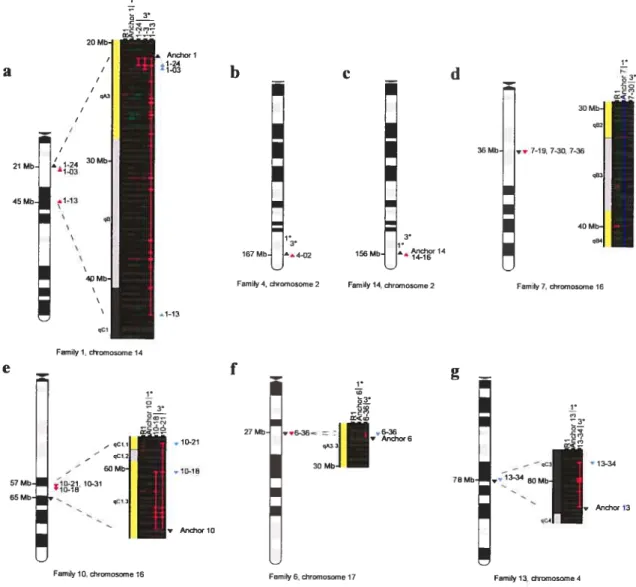 Figure 2-5 Display showing confirmed chromosomal deletions in ESCs.