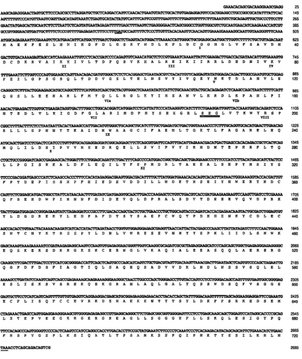 Fig. 1: Mouse ERK3 cDNA encodes a predicted protein of 720 amino acids highly homologous to human ERK3