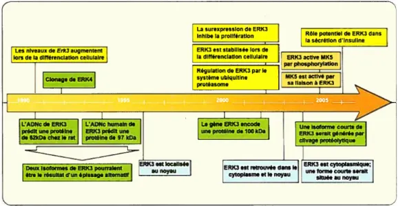 Figure 4: Chronologie des principales études adressant la biologie moléculaire de la MAP