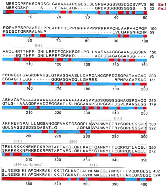 Fig. 1.3 Amino acid sequence comparison ofmouse En-1 and En-2. The a.a. sequences are aligned and the five highly conserved regions EH 1-5 are indicated and enclosed in grey boxes