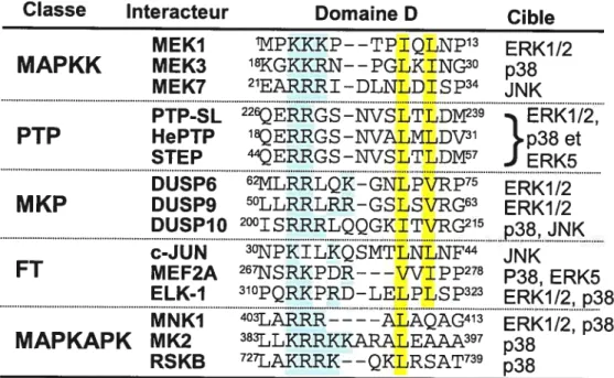 Figure 23: Alignement des domaines D présents chez différentes classes dinteracteurs de MAPK