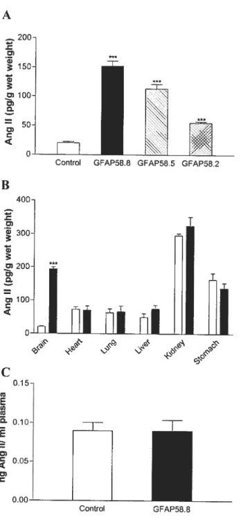 Figure 2-3. Levet of Ang II in tissues and plasma of GFAP-Ang II mice.
