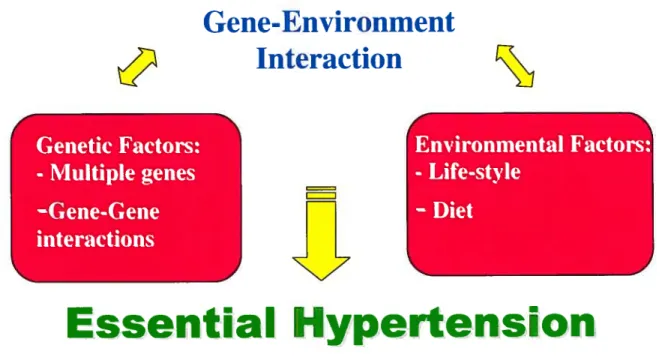 Figure 2- Gene-environment interaction