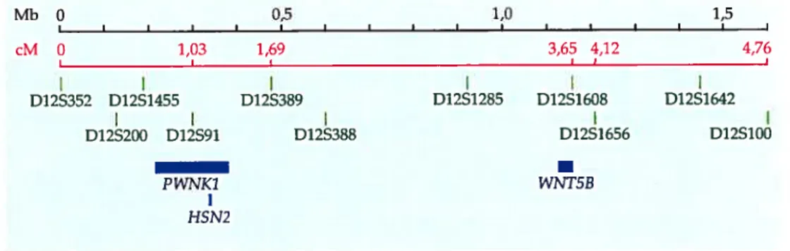 Figure 2: Représentation de la carte physique de la région entre les marqueurs D125352 et D12S100.