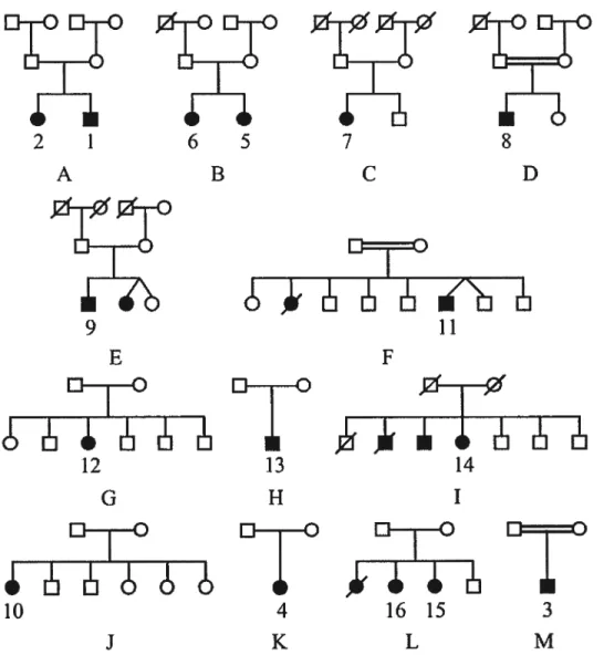 Figure 3 : Thirteen French Canadian hereditary sensory and autonomic neuropathy type 2 (HSAN2) pedigrees