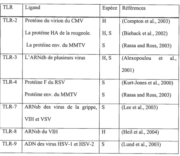 Tableau 2 : Les TLR et leurs ligands PAMP viraux.