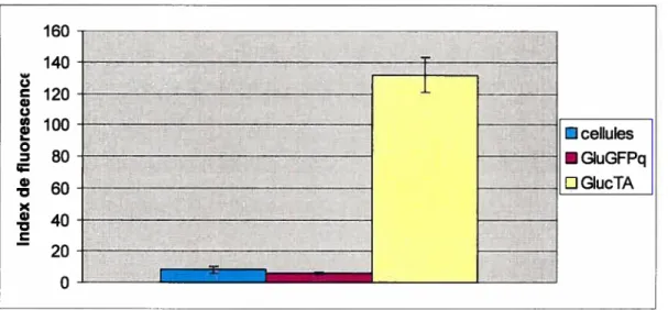 Figure 10: Comparaison de la régulation directe et indirecte de la GFP par le promoteur du glucagon dans les cellules 293CR5GFP