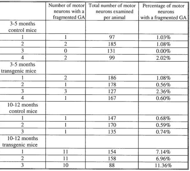 Table 2: Number of motor neurons with a fragmented GA in control and JNPL3 mi ce