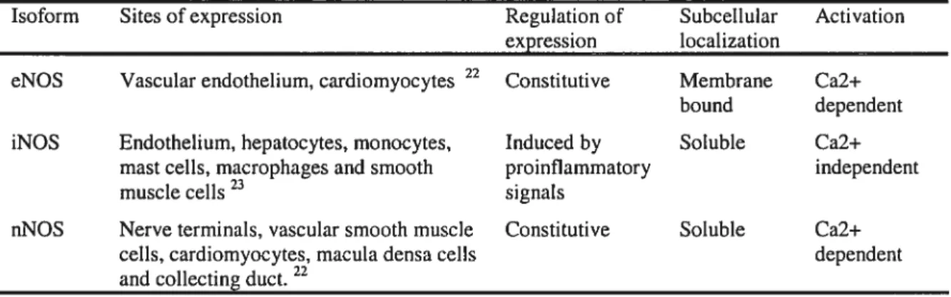 Table I Properties of the different isoforms of NOS