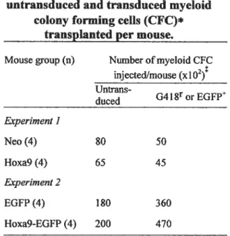 Table I. Absolute numbers of untransduced and transduced myeloid