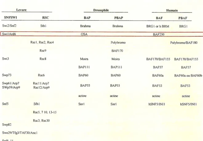 Figure reproduite de BBA 1681, 2005