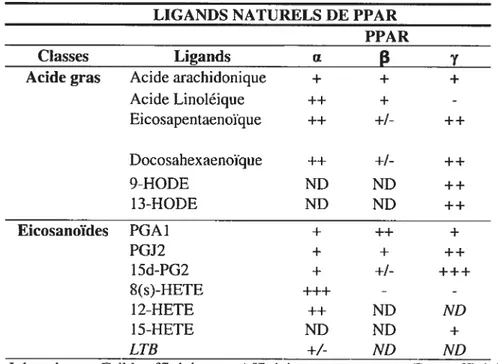 Tableau 3 : Affinité des ligands synthétiques pour les différentes isoformes de PPAR