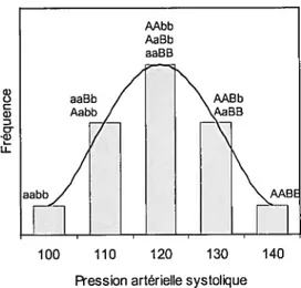 Figure 2 Distribution de fréquence de la pression artérielle systolique déterminée par un modèle de deux loci/deux allèles.