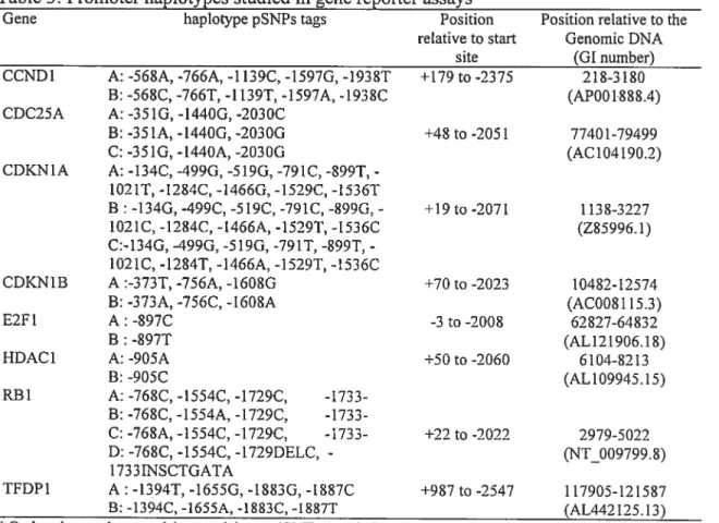 Table 3: Promoter haplotypes studied in gene reporter assays