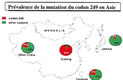 Figure 11. Prévalence de la mutation du codon 249 du gène p53 en Asie et en Afrique.