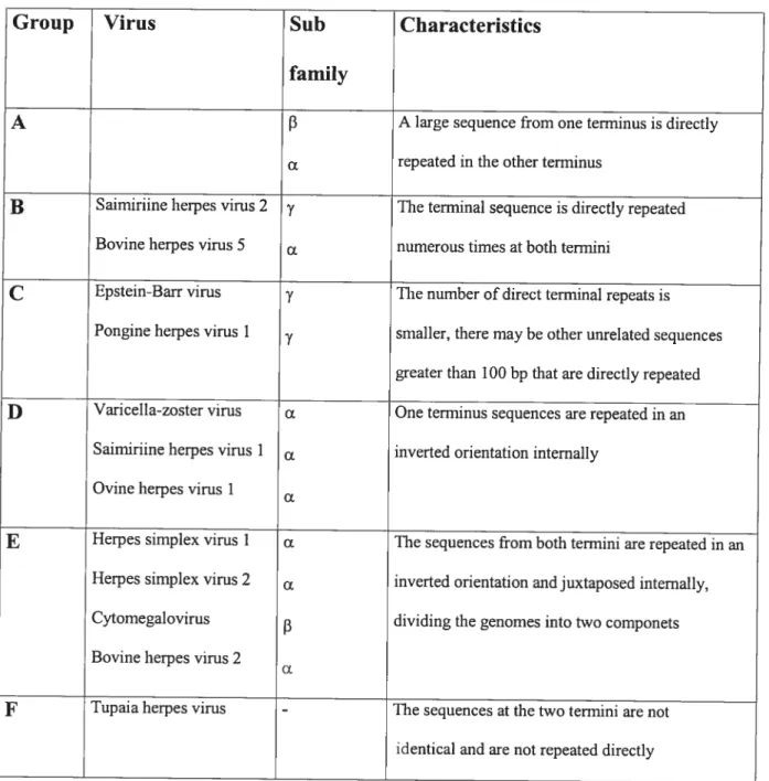 Table 2: Classification of Herpes vïruses in different groups