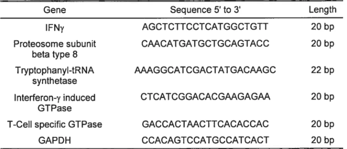Figure 2.4 Summary of probes used in Semi-quantitative RT-PCR (Southern) analysis