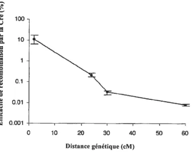 Figure 7: Efficacité décroissante de la recombinaison par la Cre avec la