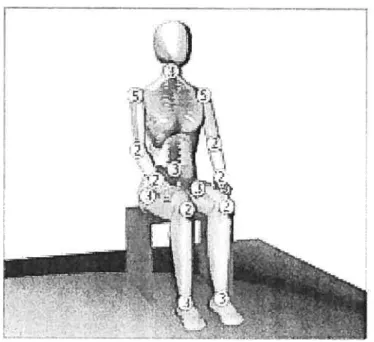 Figure 2 : Nombre maximal de degrés de libertés présents à chaque articulation du corps humain en posture assise en l’absence de supports externes autres que le siège (Hendriks et al.