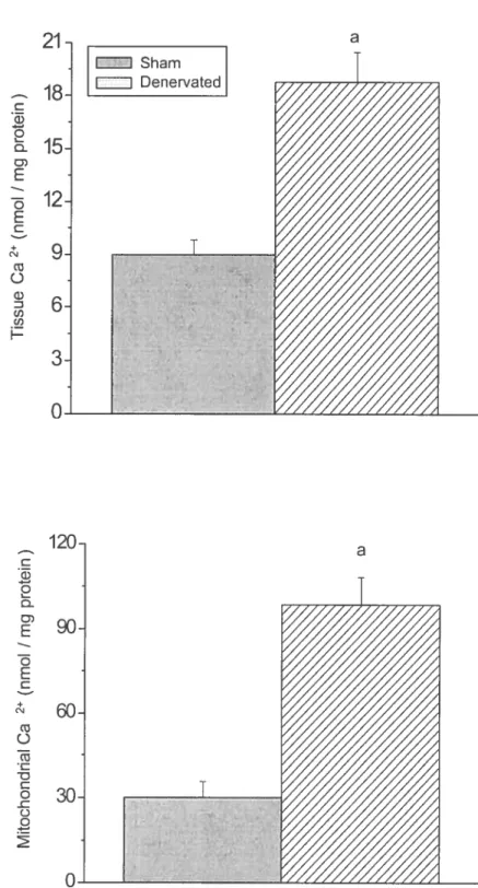 Figure 3 21 118 Sham 18. Denervated a C G) o 1 o D) E o E C + o G) U) U) H C G) 2  D-D) E o E C + (N o C o o o a6030