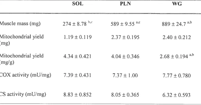 Table 1: Muscle mass and mitochondrial isolation yieÏds and enzymatic activities